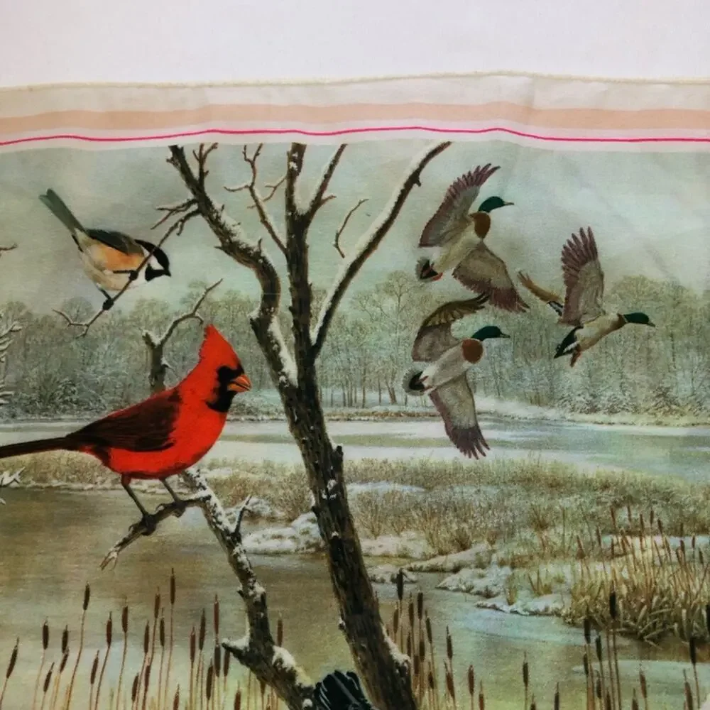 Vintage 1979 national wildlife federation bird scarf 12”x42” cardinal ducks art